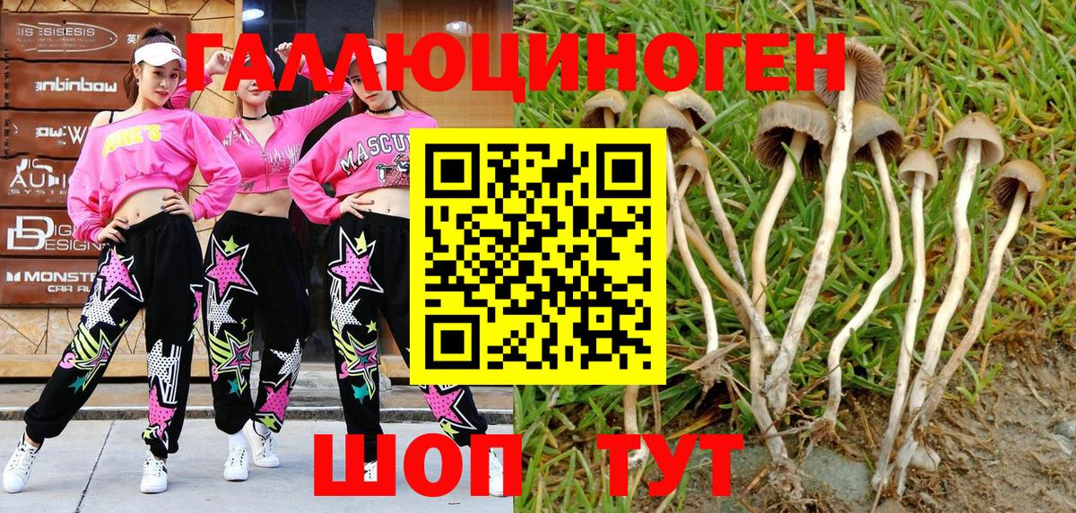 Псилоцибиновые грибы мухоморы Урай